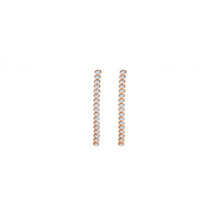 Load image into Gallery viewer, Bezel Drop Earrings